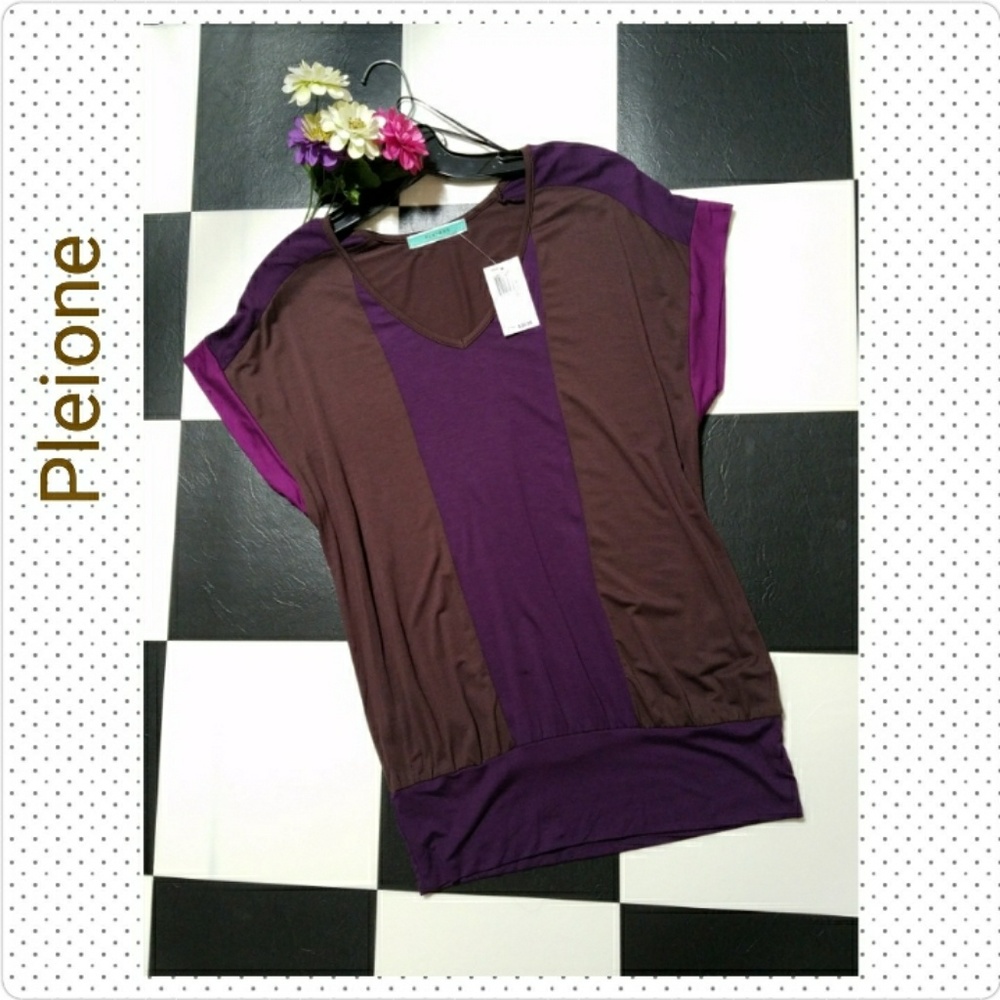 🚩 SALE NWT Pleione Color Block Top S